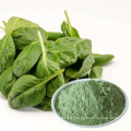 100% Pure Dried Spinach Vegetable Powder China